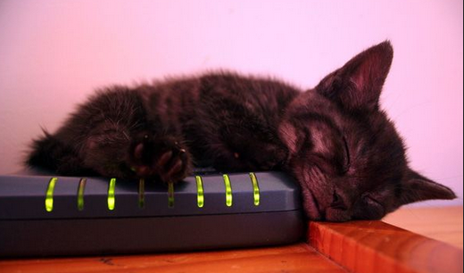 sleepy_firewall_cat.png